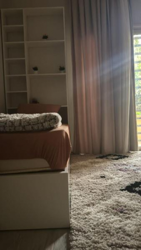 Cozy apartments and nice location